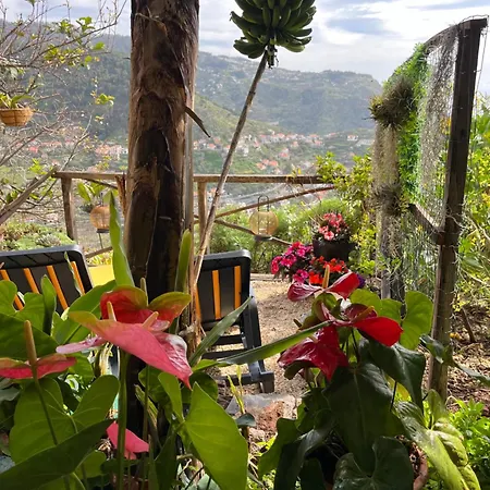 Tropical House Villa Ribeira Brava Exterior photo