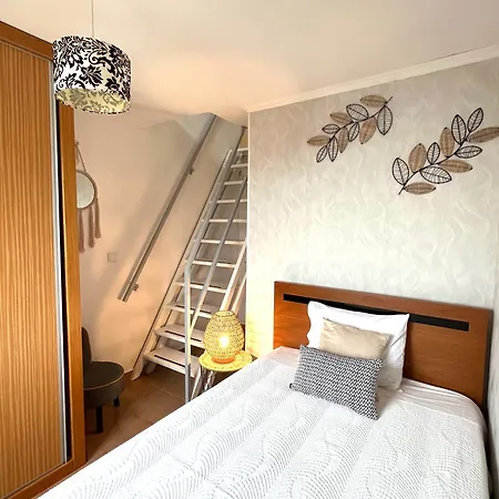 Tropical House Villa Ribeira Brava Exterior photo