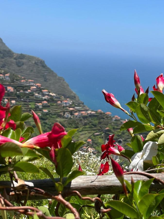 Tropical House Casa de Férias Ribeira Brava