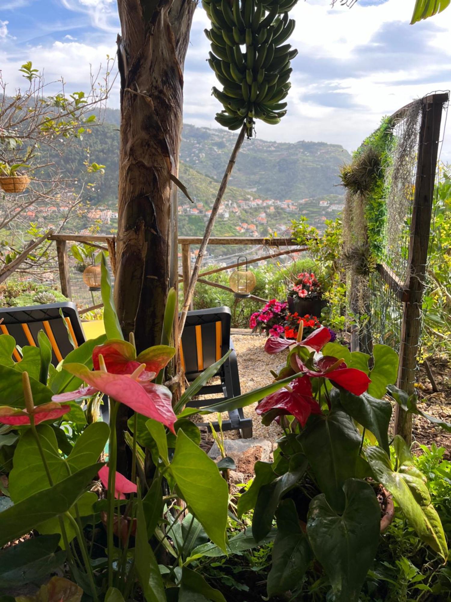 Casa de Férias Tropical House